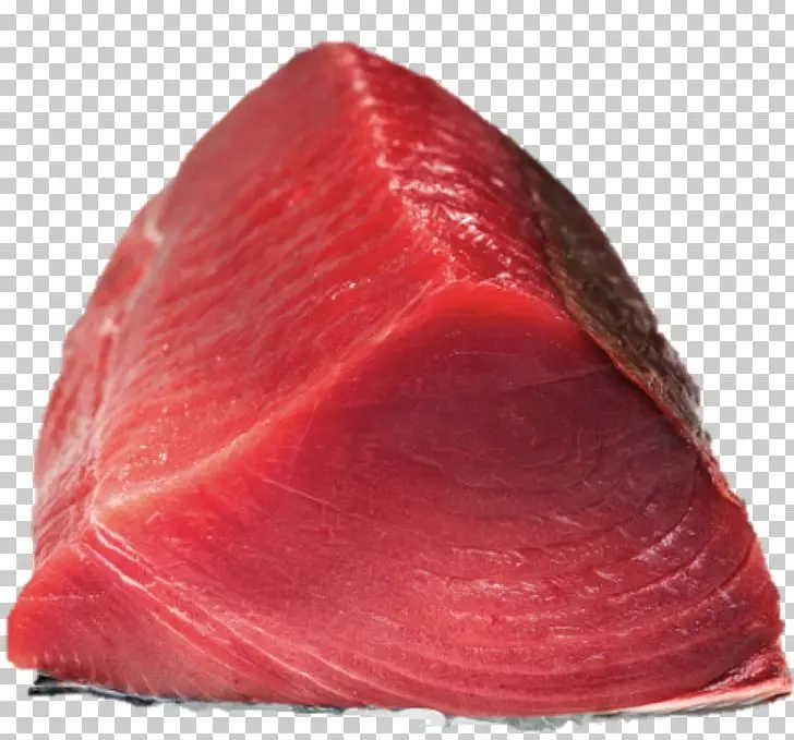 tuna fish 4.jpeg