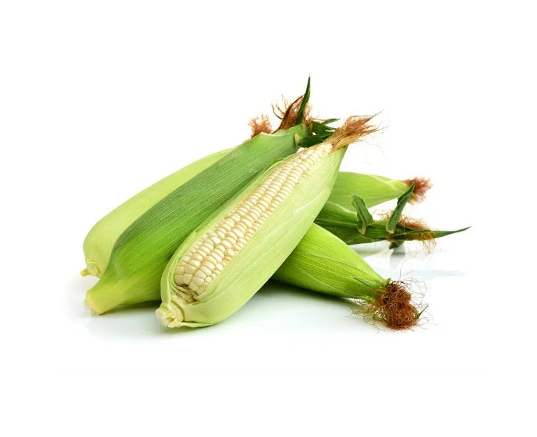 High-quality Frozen Dried Super Dried Yellow Sweet Corn for Sale