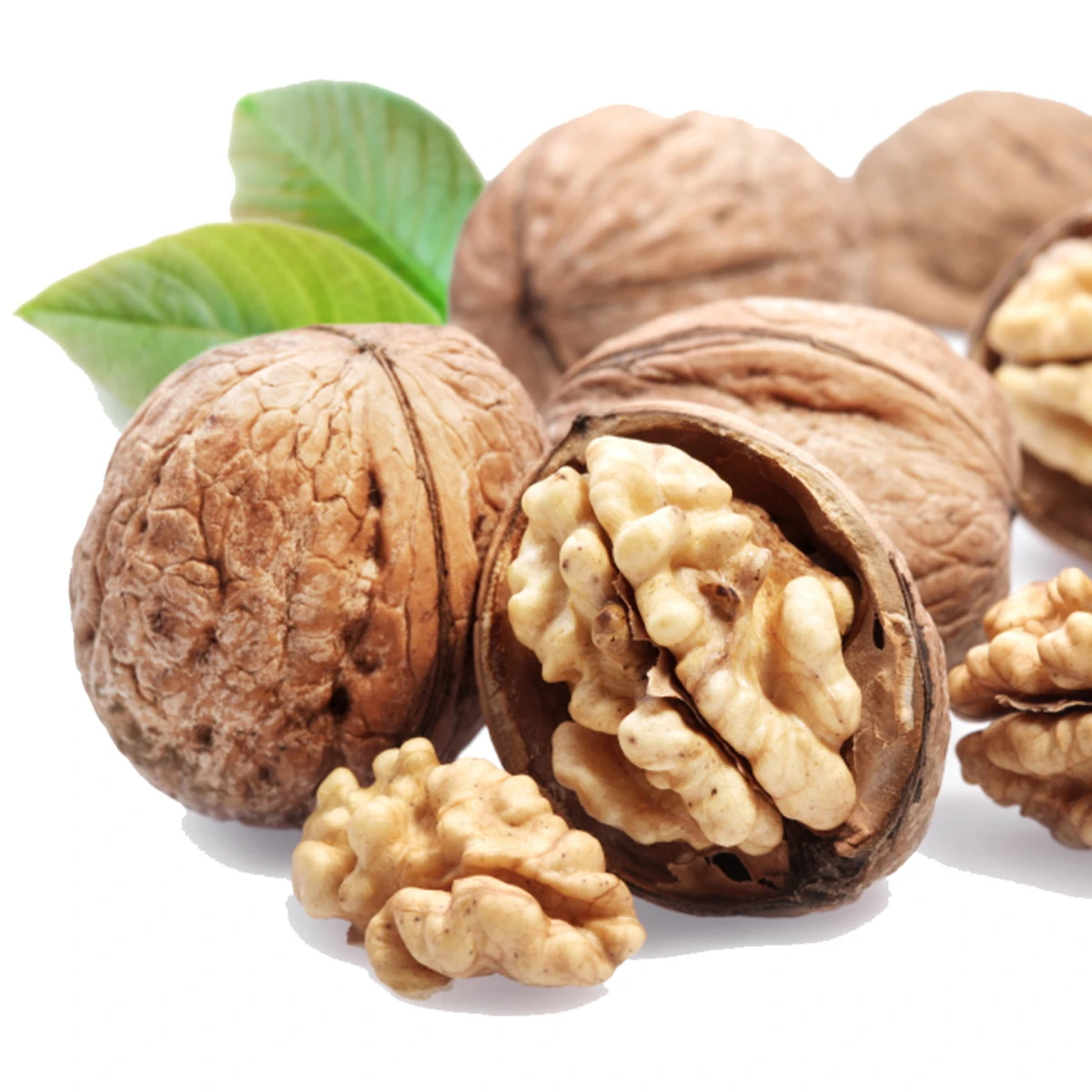 Высококачественный белок грецкого ореха