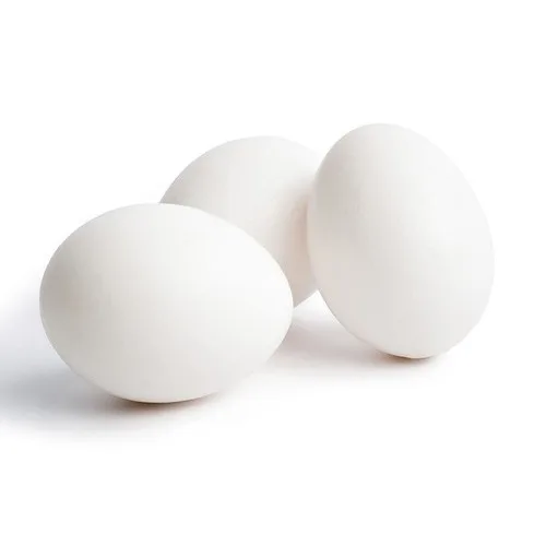 Wholesale White/Brown  Fresh Chicken Table Eggs/ Artificial Ostrich Eggs For Sale