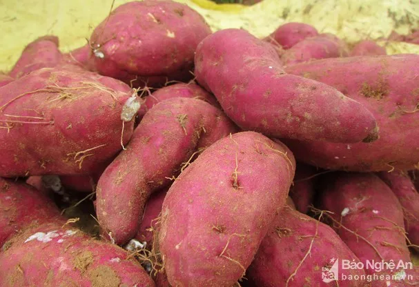  Сладкий Картофель/замороженный сладкий картофель из Вьетнама LANI + 84969331308