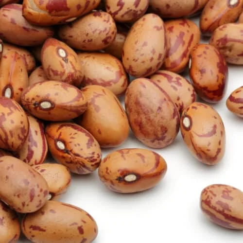 Delicious Pinto Beans for sale