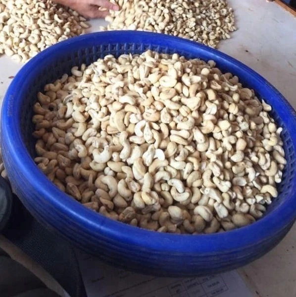 Export Cashew Nut Kernels Ww180, Ww220, Ww240, Ww320, Ww450 0 - origin Vietnam - Best Quality