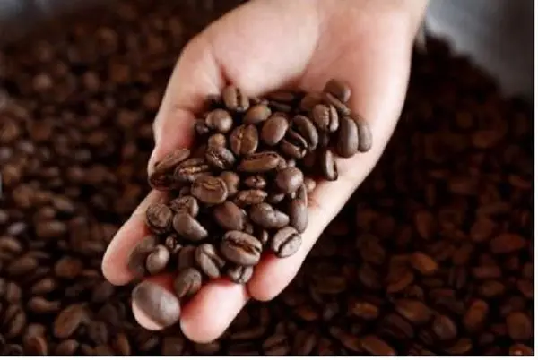 Кофейные зерна Арабика класса 1 красно-коричневого цвета, сертифицированный продукт без фермента, срок годности 12 месяцев, OEM ODM