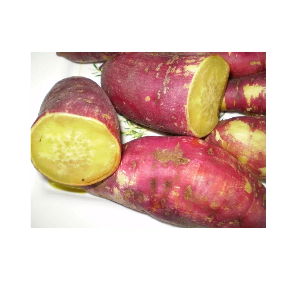 Лучшая цена оптом свежий сладкий картофель вьетнамские овощи-высококачественный