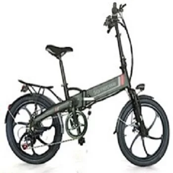Electric Motor High Power Wholesale Directly Brushless 36V 250W Bike Mountain 750w Max LED Light OEM Frame Battery Time Charging