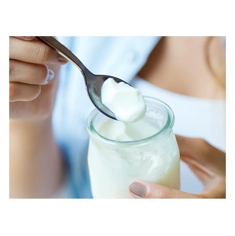 High Quality Yogurt Milk and Cream Available at Best Price