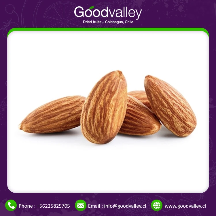 2021 Bulk Supply  Factory Lowest Price Top Quality Raw Nutrition Organic Almond Nuts for Export