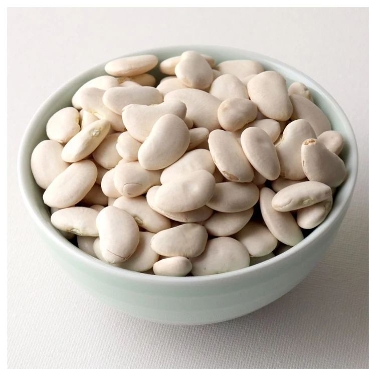 
Big White Lima Beans Wholesale Supplier from South Africa at Low Price 
