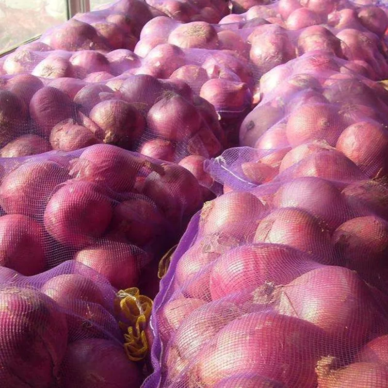 Fresh red onion with good quality for sale