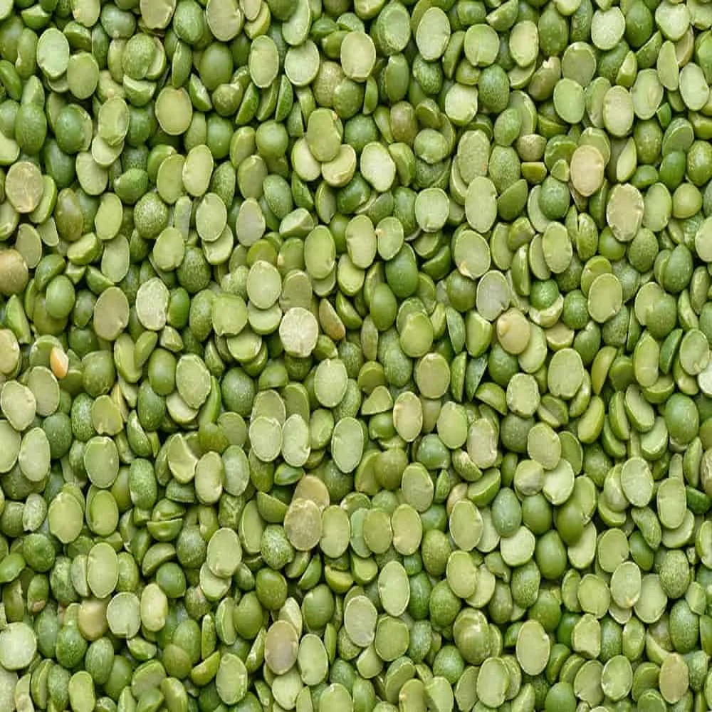Green_Lentils_40408.jpg