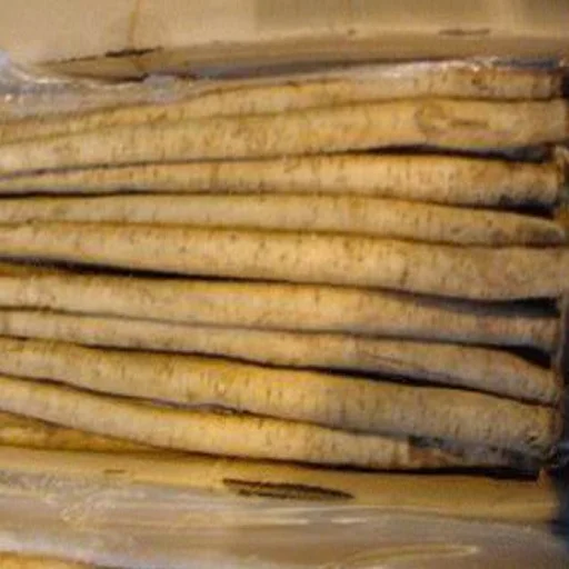 Golden Burdock / Fresh Burdock  Austria