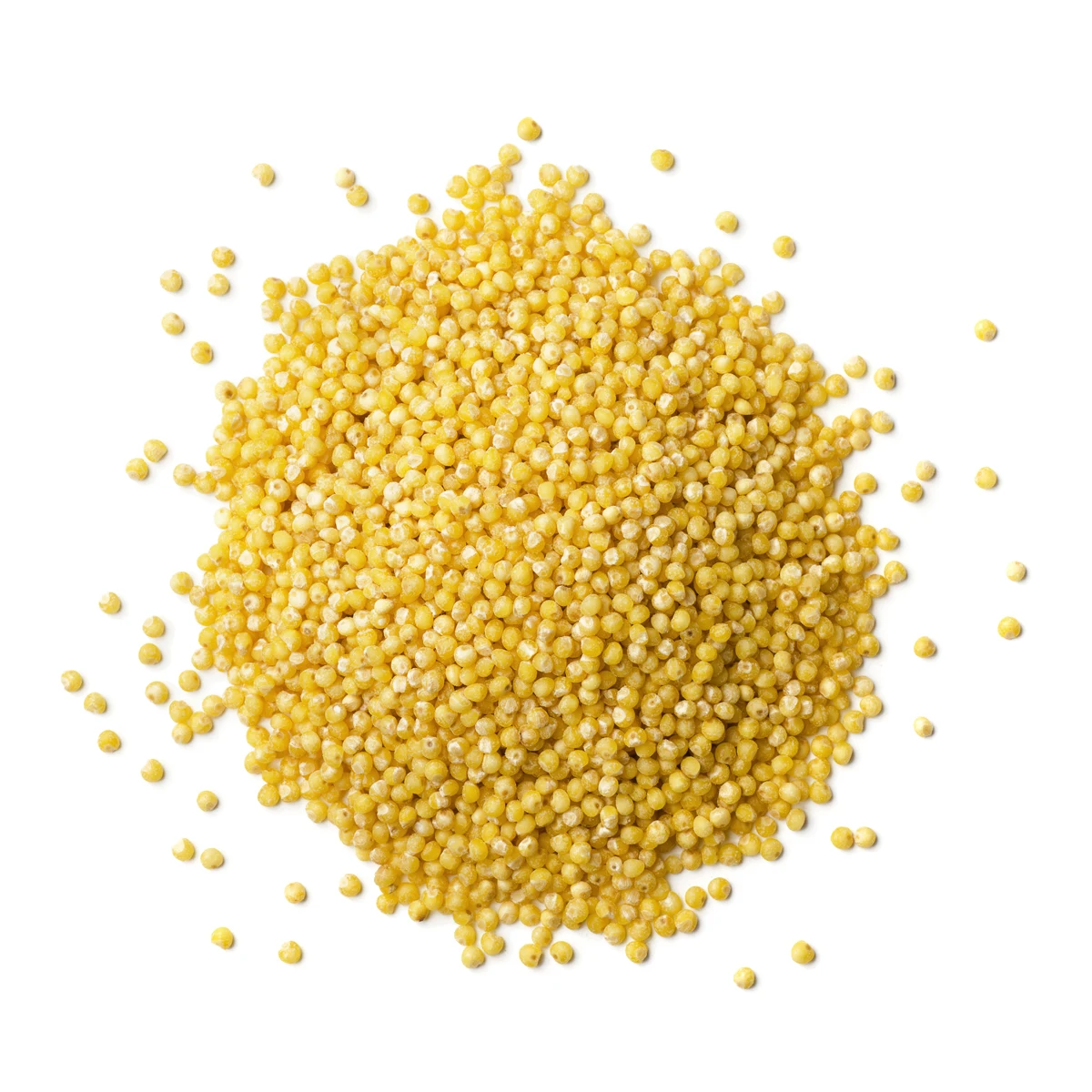 
High quality yellow millet grain high nutrition value, grain 