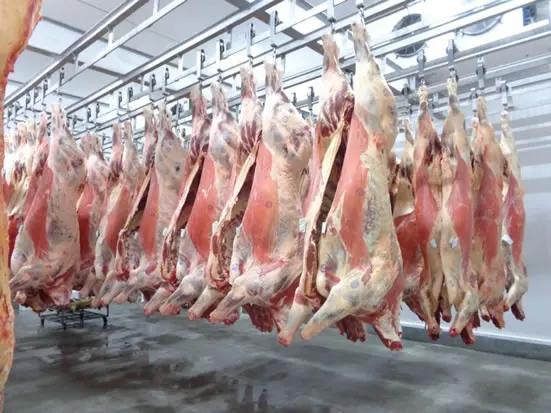 Оптовая продажа говядина замороженная хвостовик мясо без костей кубический рулон фиалка (Bullwhip) страурин патрон Халяль
