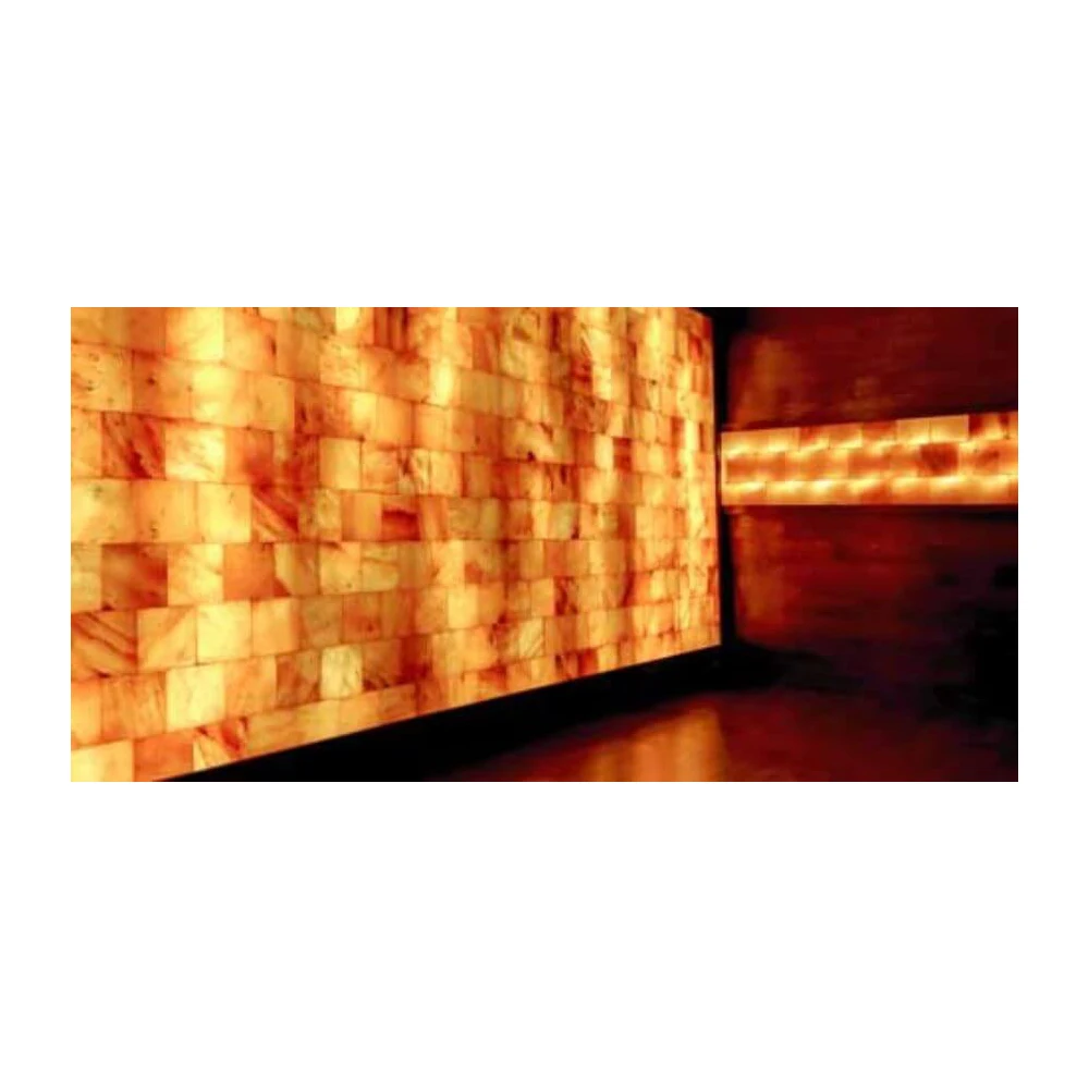 Best Price Himalayan Pink Salt BBQ Tile & Dark Pink Salt Bricks For SPA and Cooking Room Construction Bricks