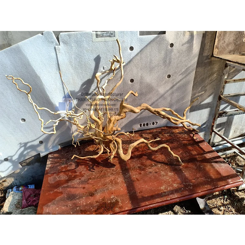 Горячие товары 2024 натуральный коряги для Аквариума Декор Фон WhatsApp + 84 937 545 579