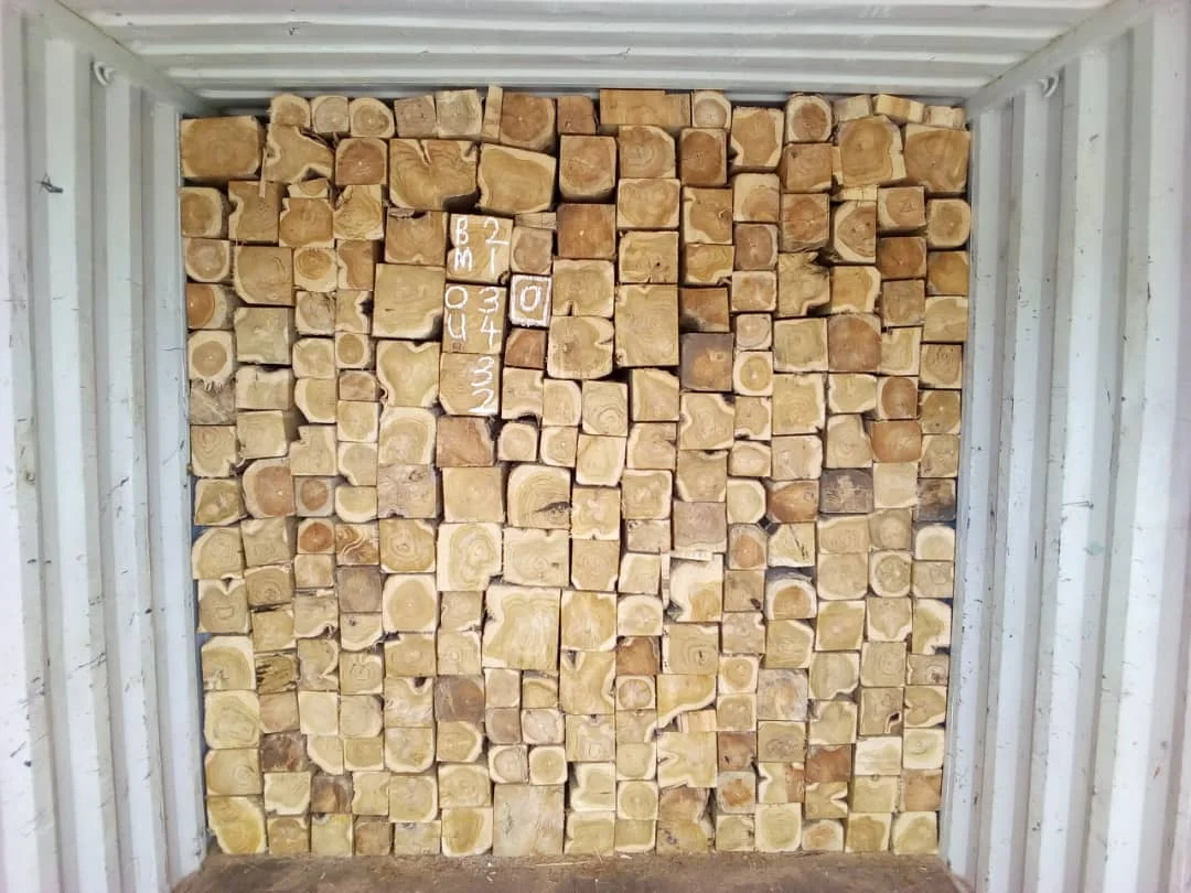 100%  High Quality  all types of timber wood, logs such as Padouk , Azobe , Tali,Pachyloba, Mahogany ,Sapelli,