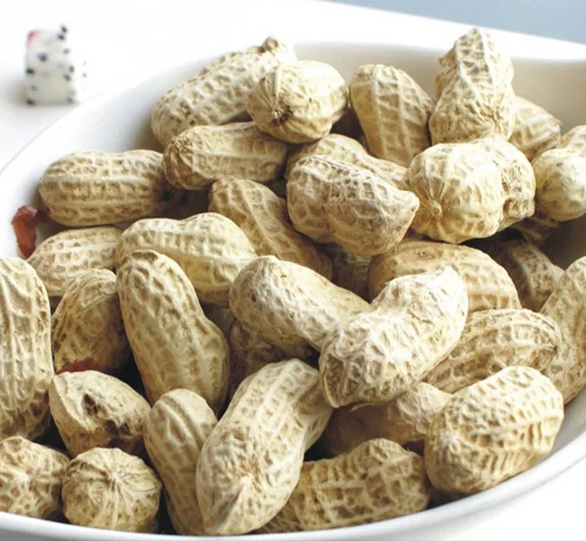Industrial Agricultural Safety Products Wholesale High Quality Grade Moisture Red Skin Peanut