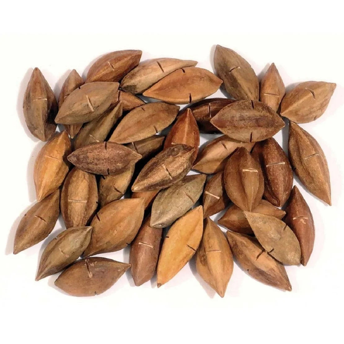 Pili Nuts in Shell / Pili Nuts Without Shell At Cheaper Price