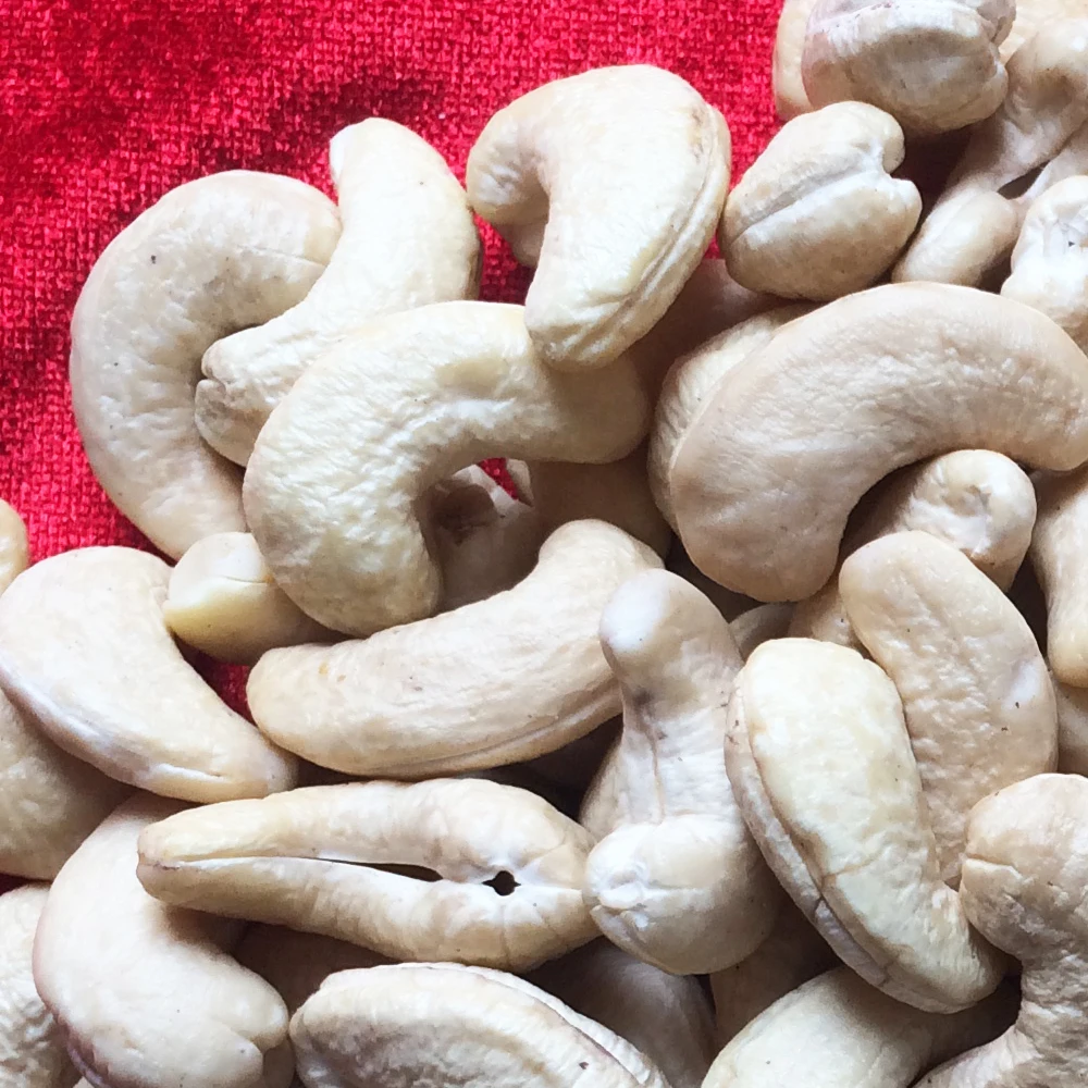Healthy Food Premium Cashew Nuts W210 Vietnam Wholesale Standard Company High Quality Raw Cashews Products In Bulk Nuts Kernels