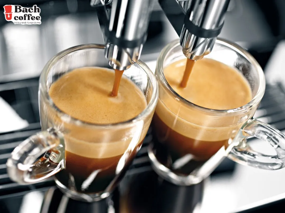 Кофейные зерна Арабика робуста/итальянское эспрессо средней темной обжарки/сильный вкус/пакет 250 г