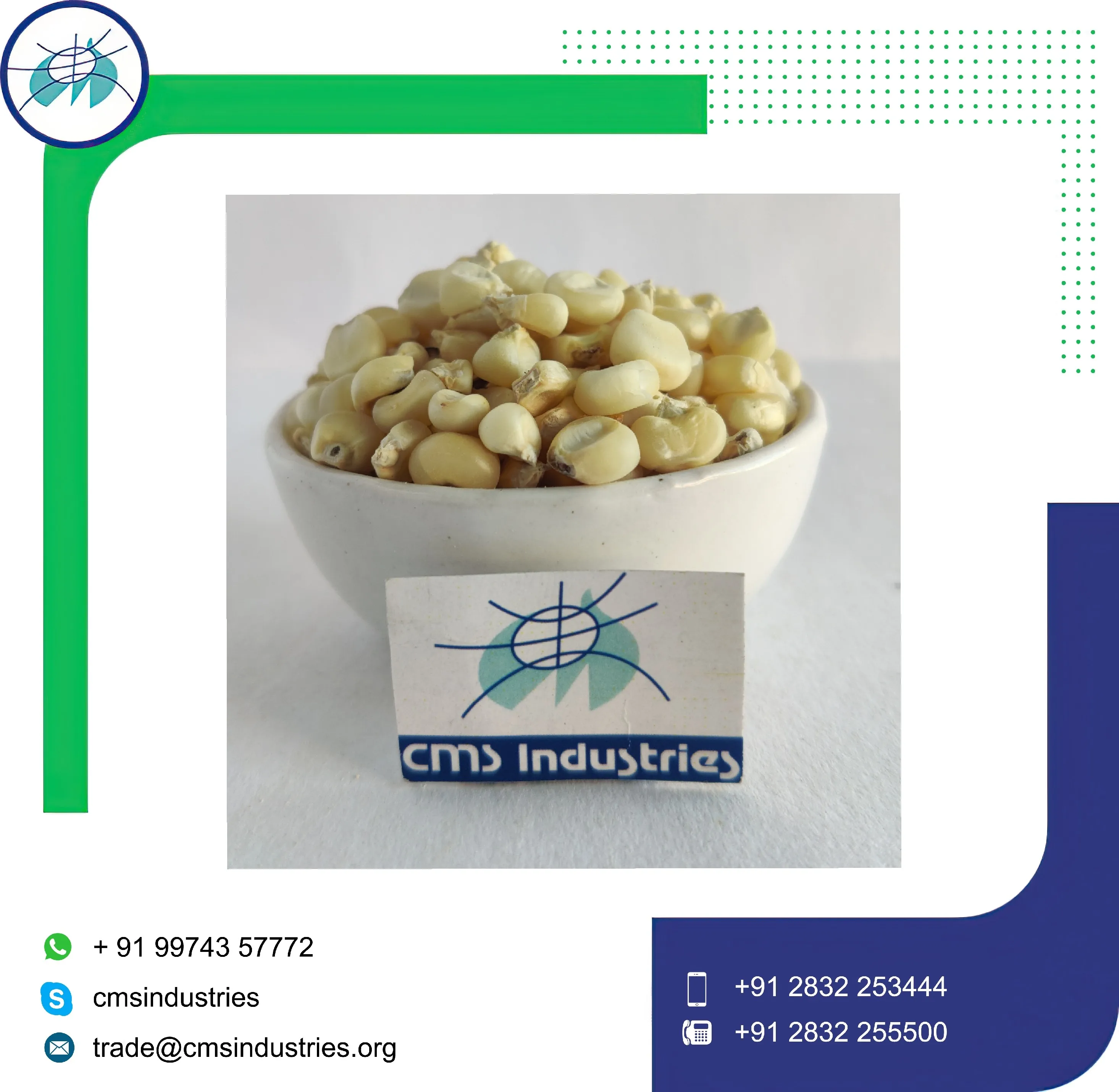 Неповрежденная белая кукуруза для кормления птиц