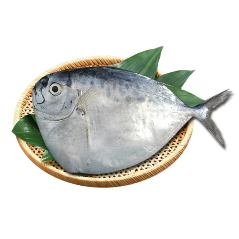  Вьетнамские морепродукты Лунная рыба