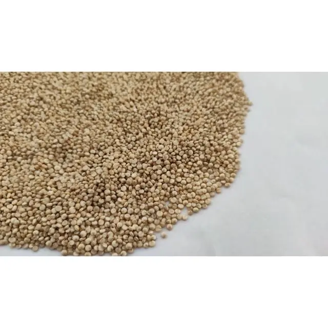  Цена белых семян Quinoa оптом из
