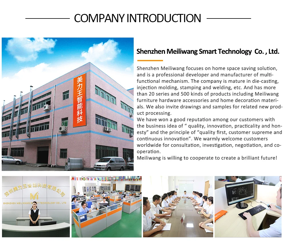 Company Introductoin.jpg