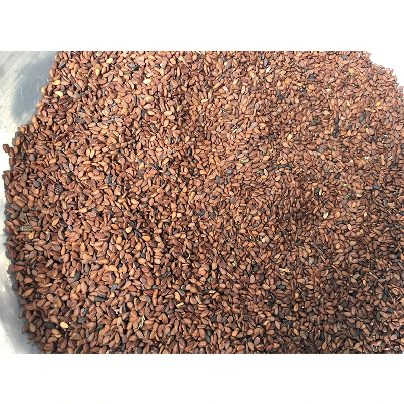 Mondol Black ,Brown, White, Premium Quality Sesame Seeds For Food And Sesame Oil Bangladesh Origin