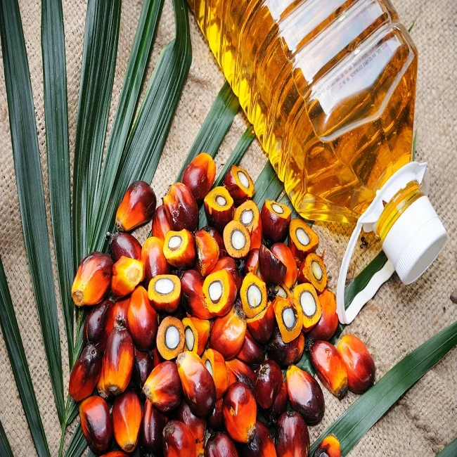 Refined/Crude ReD Palm Oil from