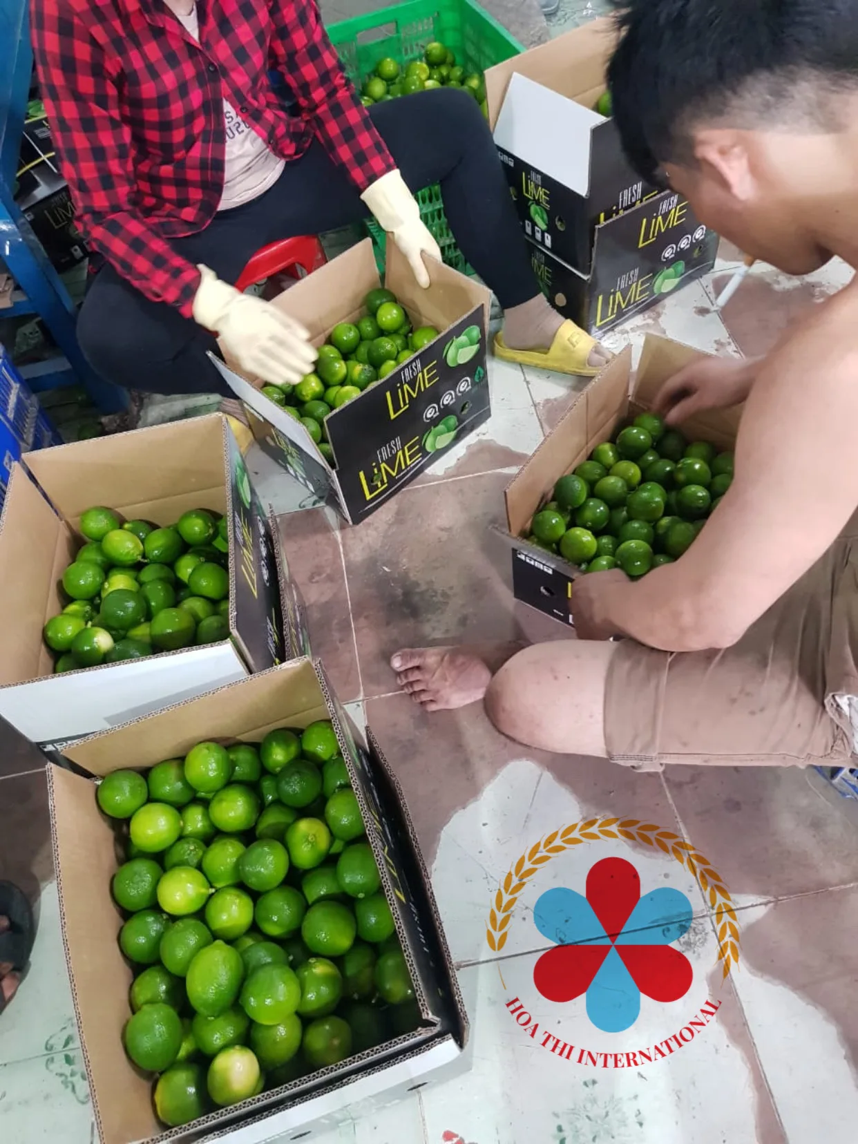 100% Maturity Natural Taste 5 cm Size 12 Months Shell Life 10kg Green skin Good Quality Fresh Lime Seedless