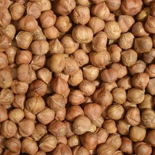 Hazelnuts supplier