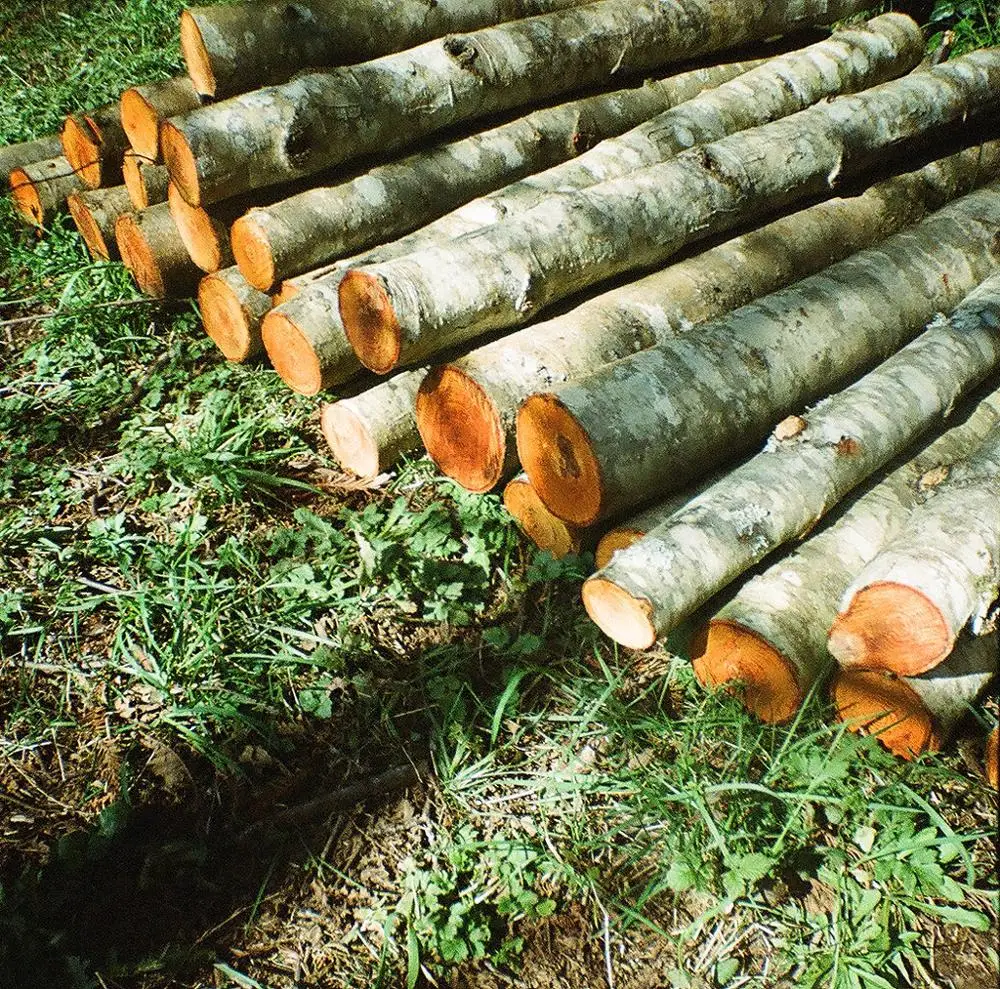 
Firewood Logs Ash, Oak, Birch, Alder,Pine Wood 
