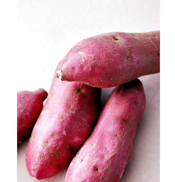  Высокое качество сладкий картофель конкурентоспособная цена для покупателей/Ms Sofia + 84 789946878