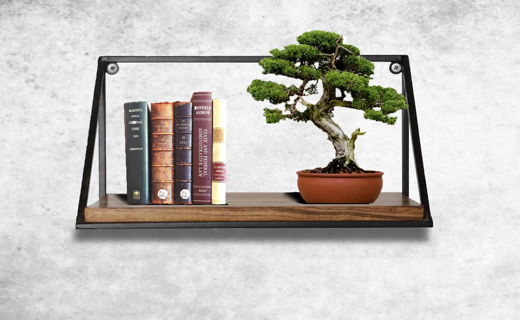 Wooden Wall Mounted Storage Iron Shelf - Set of 2 (Acacia Wood, Natural)