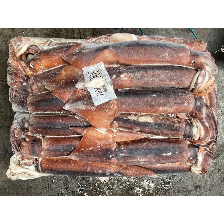 Замороженный BQF illex серебристый кальмар