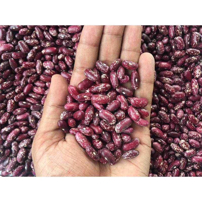Free sample New crop high quality black kidney bean SMALL BLACK