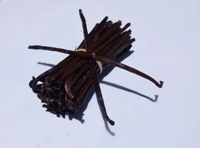 VANILA BEAN FROM INDONESIA IS GOOD PRICE AND QUALITY