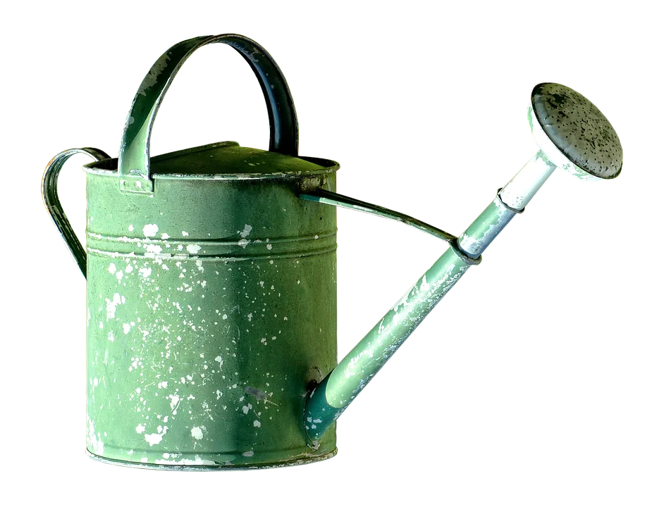 Натуральные и белые готовые оцинкованные кастрюли для полива с гравировкой цветов оптом по очень низкой цене