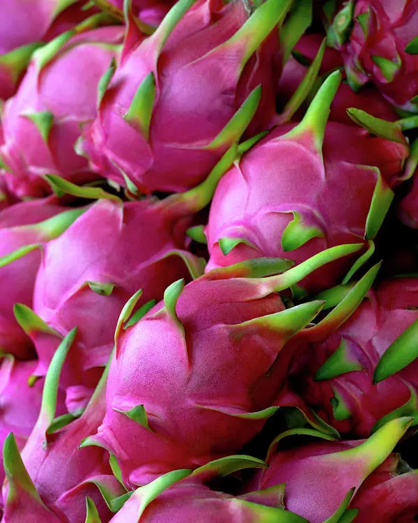 
FRESH DRAGON FRUIT / WHITE FLESH AND RED FLESH DRAGON FRUIT 