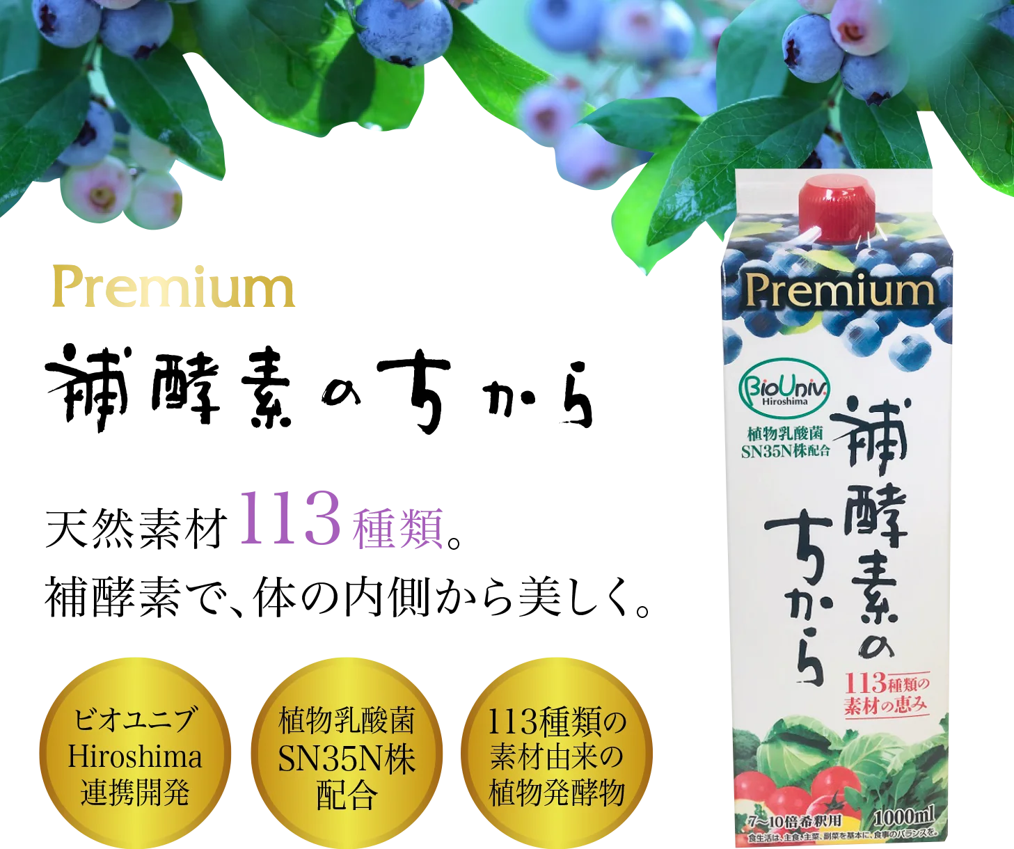 Japan Made coenzyme q10 bulk lactobacillus vitaminB6