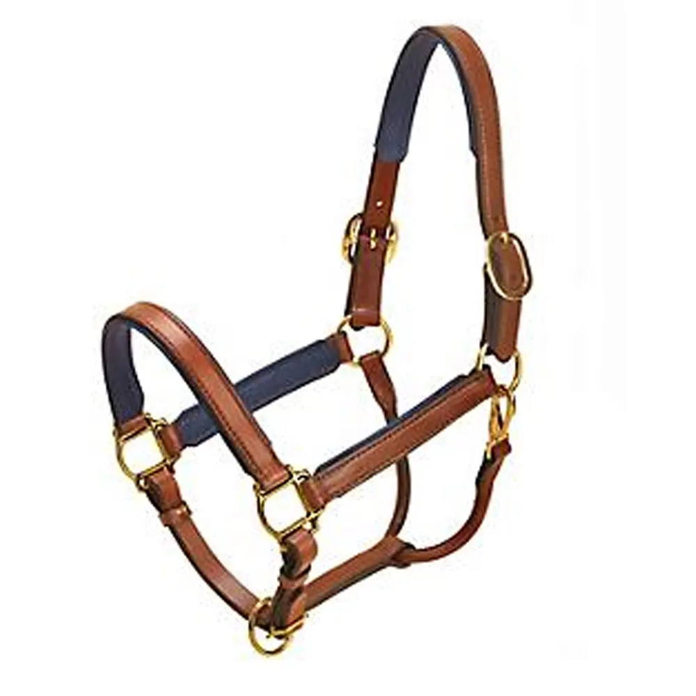 Оптовая продажа заказной пакистанский последний дизайнер стеганое поло чистая кожа Лошадь Холтер