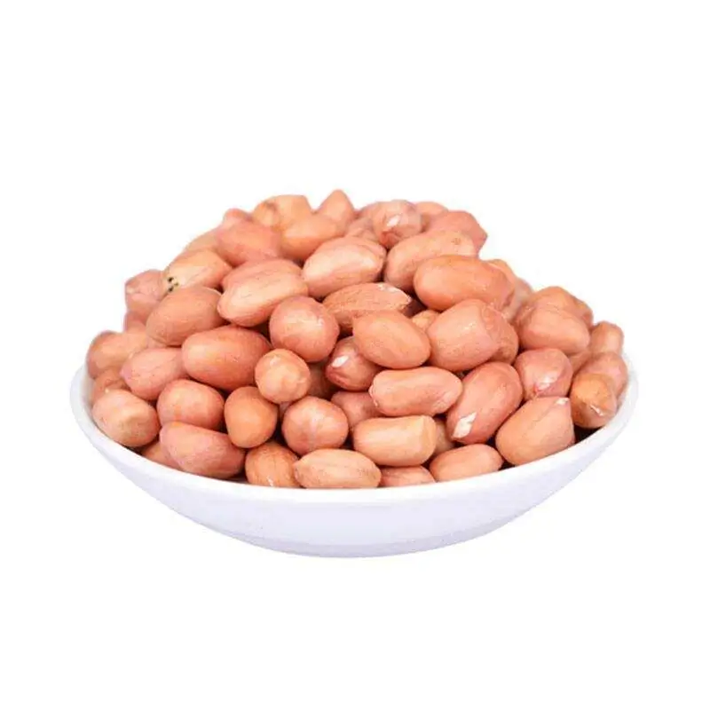 
GROUNDNUT KERNELS BOLD 70/80 FROM NIK-MAY EXPORTS INDIA 