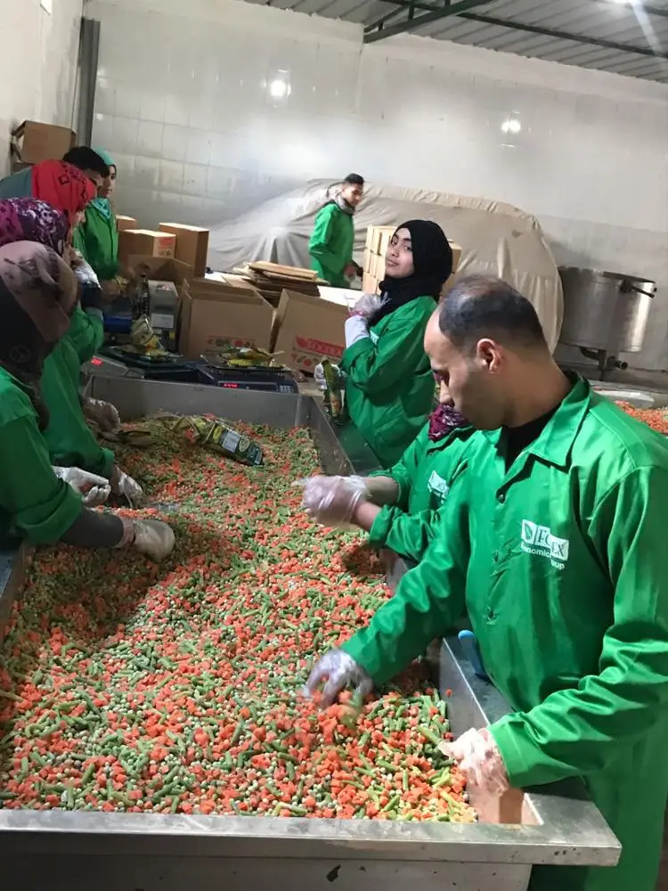 
Frozen Mixed Vegetables 