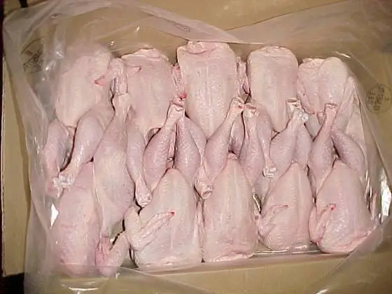 bulk-export-halal.jpg