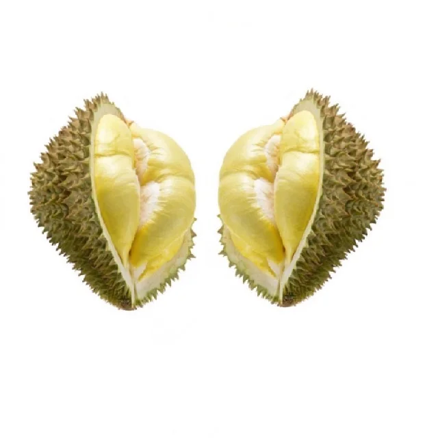 Durian Monthong Product Type Durian fresh durian from Thailand export from Thailand