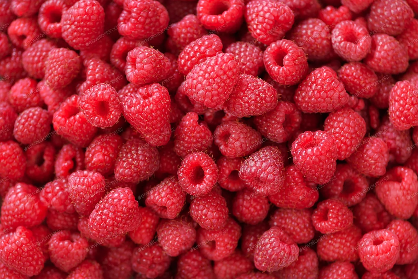 Best top best Quality Fresh Strawberry Frozen Strawberry blue Berries Fresh Berries Fruits