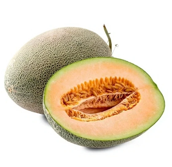 
Wholesale Fresh Cantaloupe for sale ready to export from Vietnam, melon fruit 