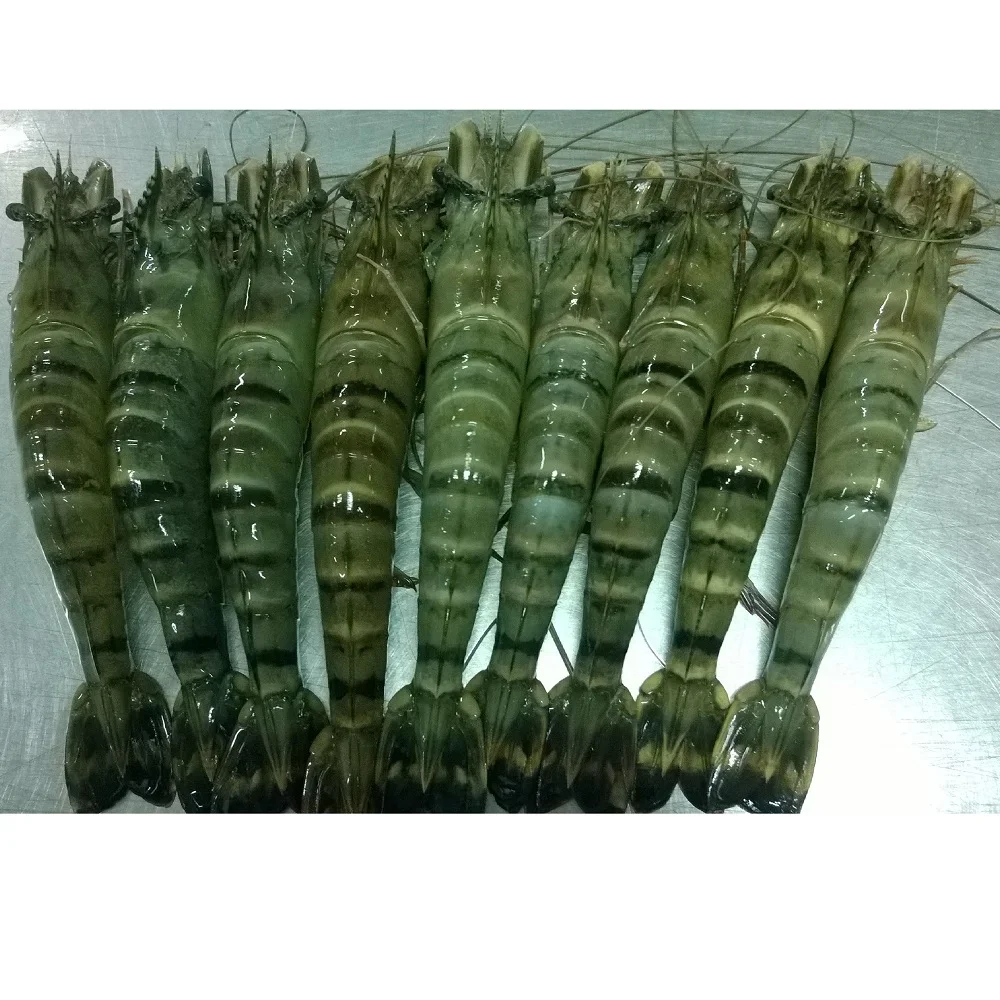 Оптовая продажа замороженных свежих черных тигровых креветок из Вьетнама по лучшей цене